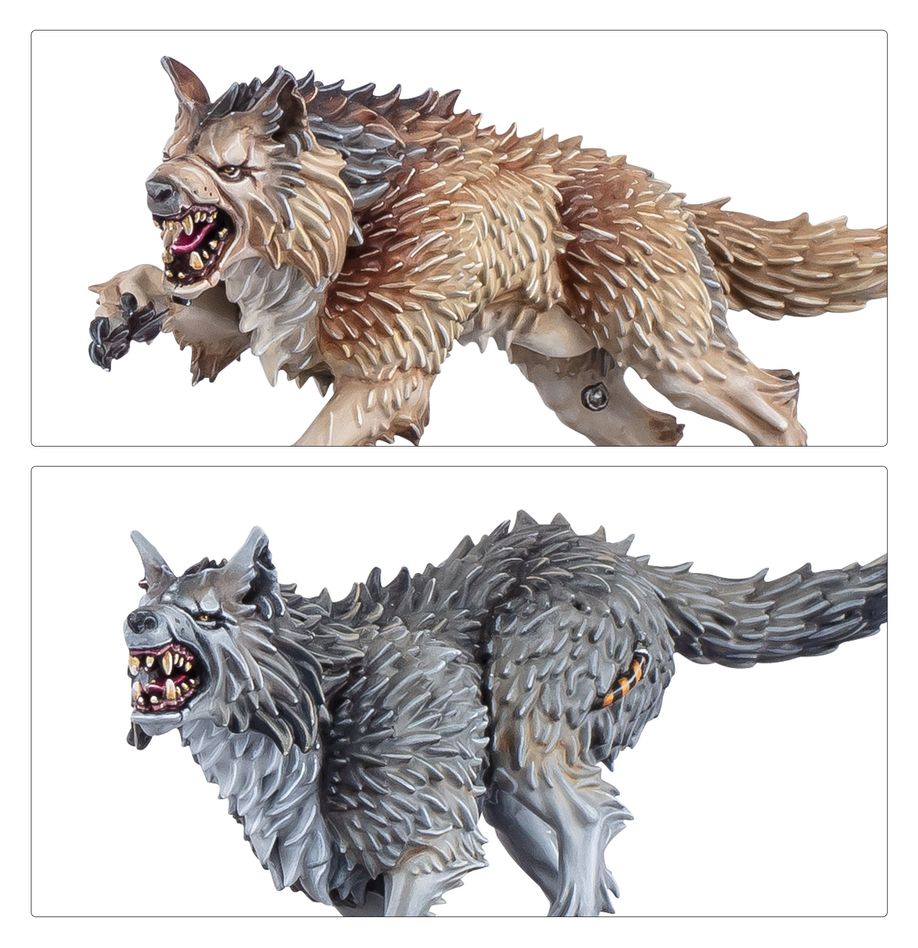 Warhammer 40,000: Space Wolves - Army Set
