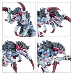 Kill Team: Typhon
