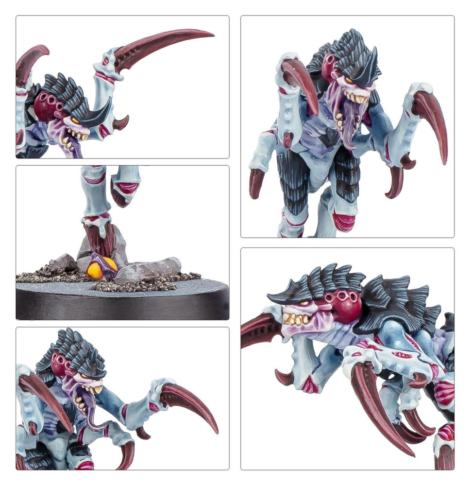 Kill Team: Typhon