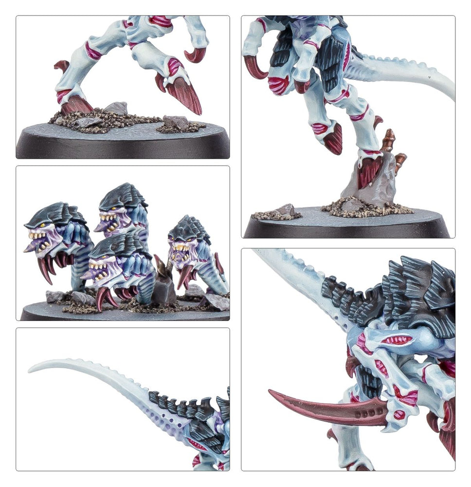 Kill Team: Typhon