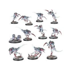 Kill Team: Typhon