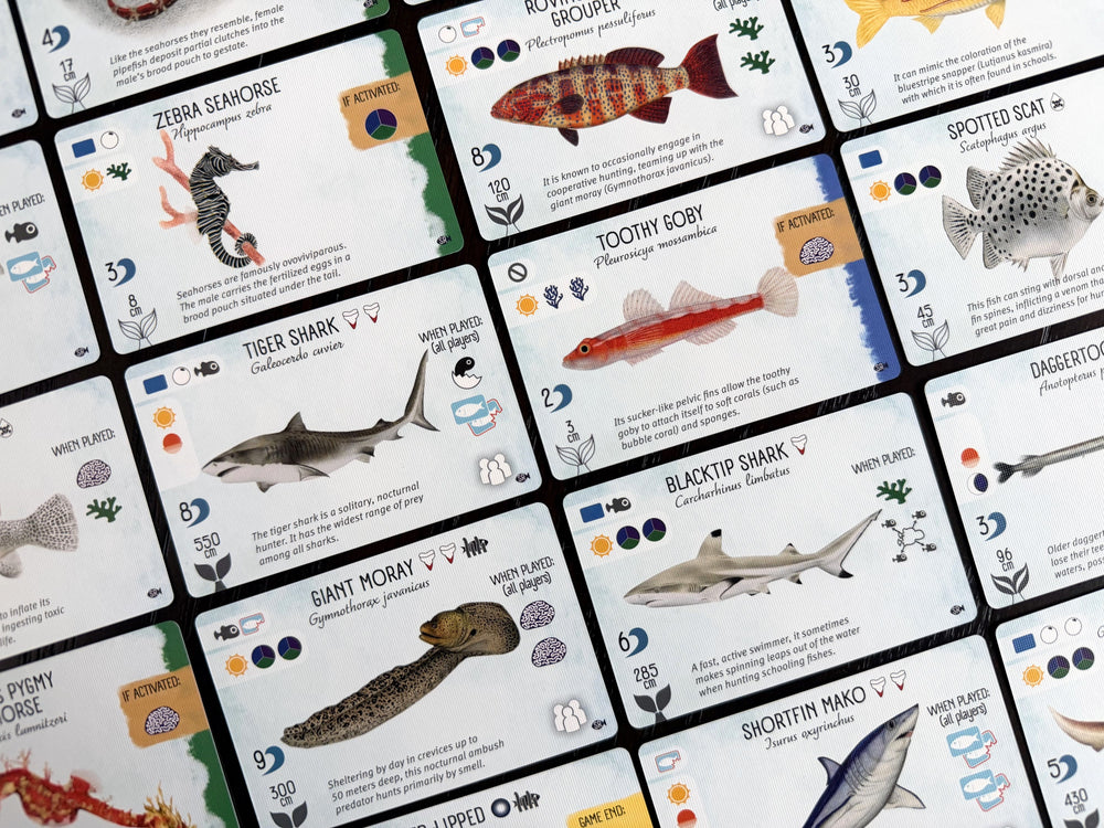 Finspan Sharks & Reefs Expansion