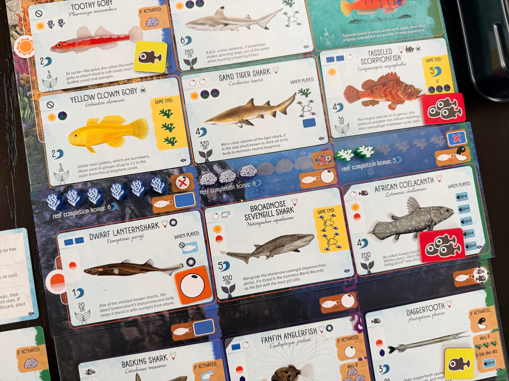 Finspan Sharks & Reefs Expansion