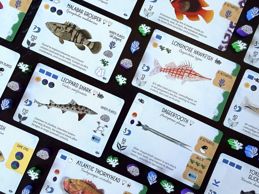 Finspan Sharks & Reefs Expansion