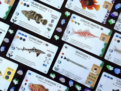 Finspan Sharks & Reefs Expansion