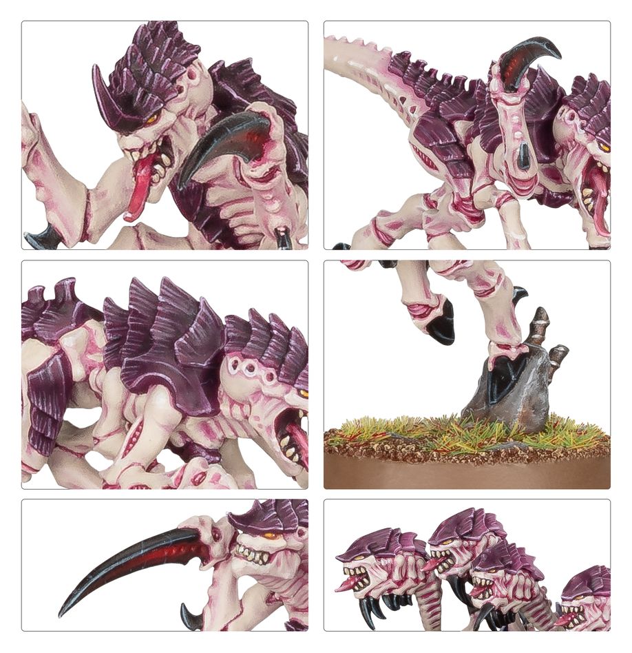 Warhammer 40,000: Tyranids - Hormagaunts