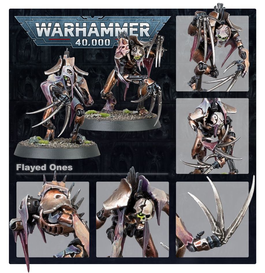 Warhammer 40,000: Necrons - Flayed Ones