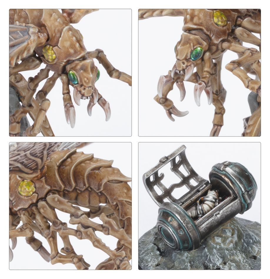 Necromunda: Ash Wastes Nomads - Ashwing Helamites