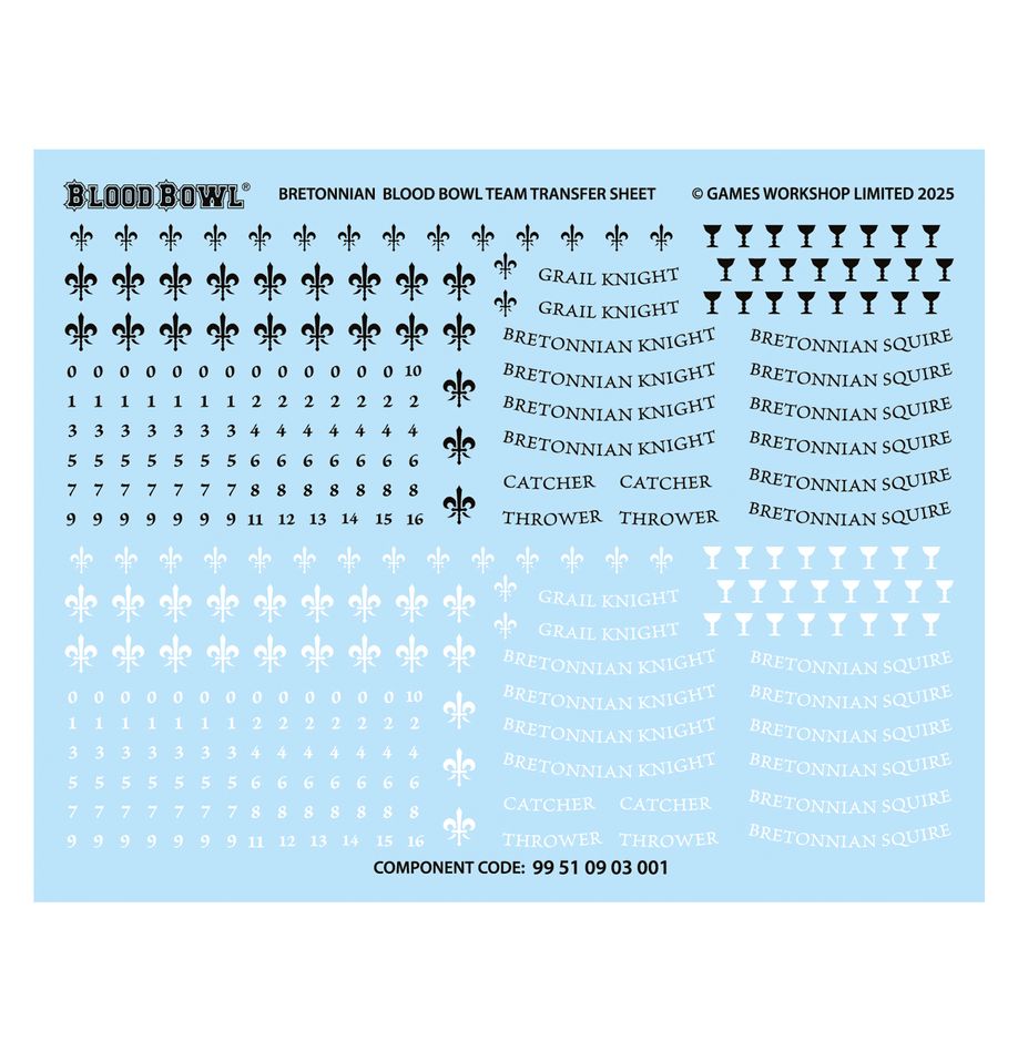 Blood bowl: Bretonnian Blood Bowl Team - The Brionne Barons