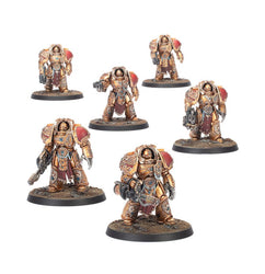 Warhammer 40,000: Adeptus Custodes - Aquilon Terminator Sodality