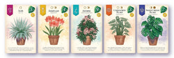 Verdant (Kickstarter Edition)